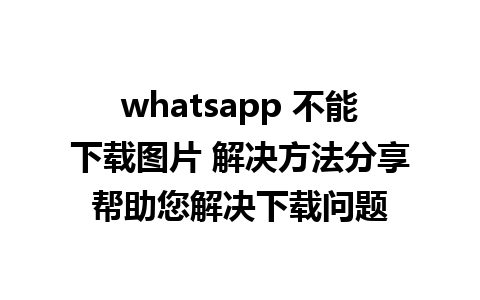 whatsapp 不能下载图片 解决方法分享帮助您解决下载问题