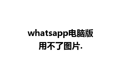 whatsapp电脑版用不了图片.