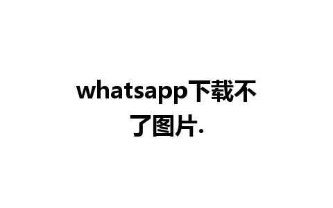 whatsapp下载不了图片.