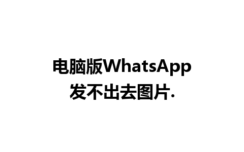 电脑版WhatsApp发不出去图片.